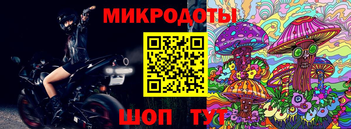 Галлюциногенные грибы Magic Shrooms  Псилоцибиновые грибы GOLDEN TEACHER  Вход с VPN  Кандалакша 