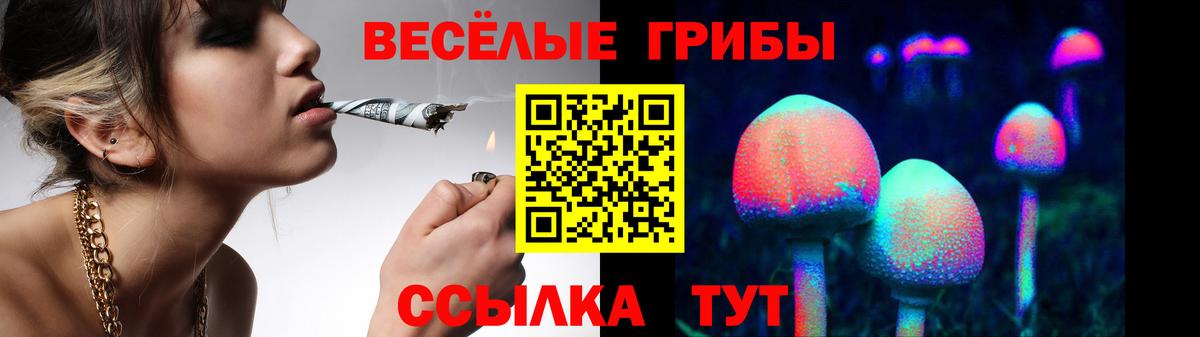 Галлюциногенные грибы прущие грибы Кандалакша